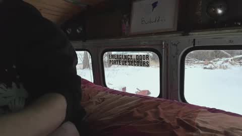 Snapshot of busbuddies chatting on 12.29.24 busbuddies online show from 12.29.24