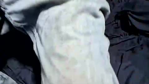 Snapshot of buster18hymen chatting on 10.21.25 Buster18Hymen online show from 10.21.25