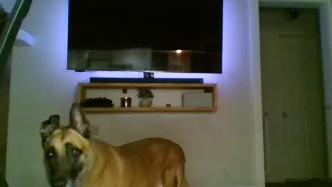 bwc44u online show from 10.02.25