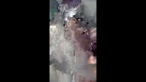 Sweetboi online show from 12.21.25