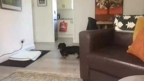 CamDoAttitude online show from 09.23.25