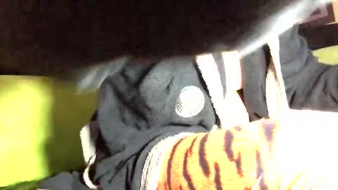 Marco online show from 03.02.25