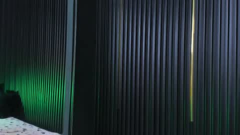 CAMERON online show from 02.21.25