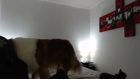 camila online show from 03.08.25