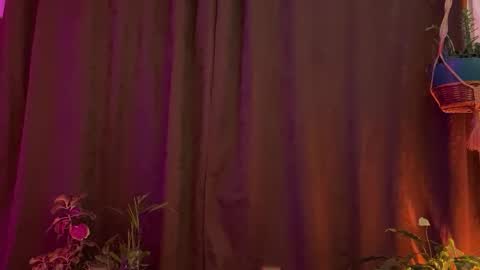  Camille   online show from 03.31.26