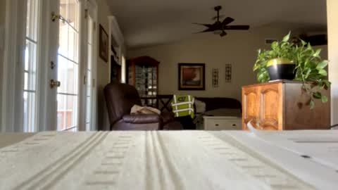 Snapshot of camperjay chatting on 01.30.25 james online show from 01.30.25