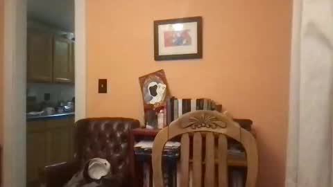 camunity online show from 03.29.26