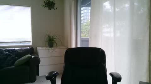 Devon online show from 03.11.25