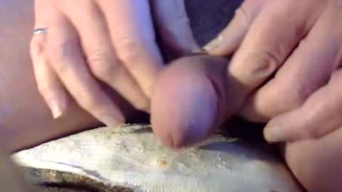 Snapshot of cancock0 chatting on 03.01.26 Cancock online show from 03.01.26