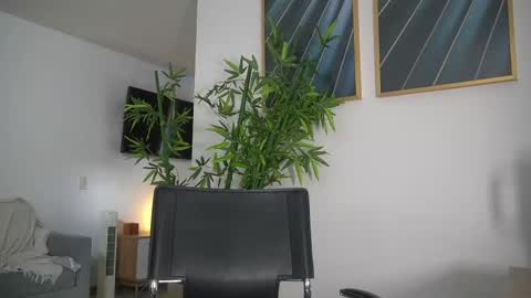 Jency NEW IG IMCANELA   online show from 09.10.25