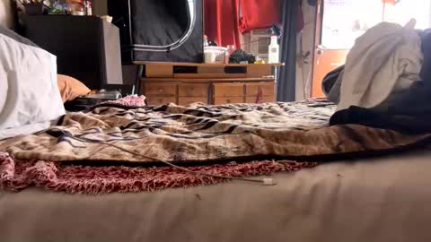 Snapshot of capacon69 chatting on 11.28.25 Bbc always ready balls insta bmac capone online show from 11.28.25