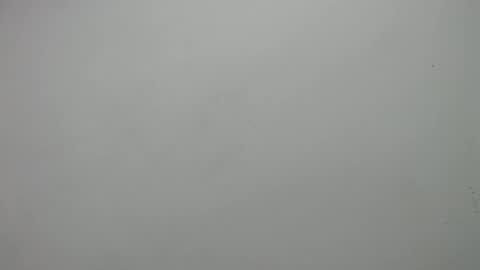 Snapshot of carla_perverted chatting on 02.19.25 carla online show from 02.19.25
