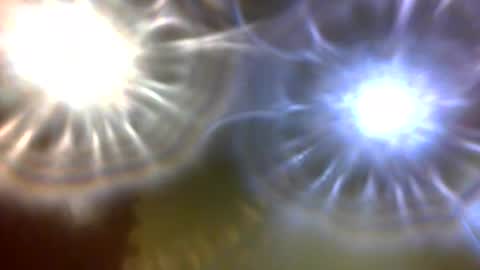 carlholmesjr20 online show from 12.04.25