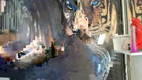 Carolay online show from 04.14.26