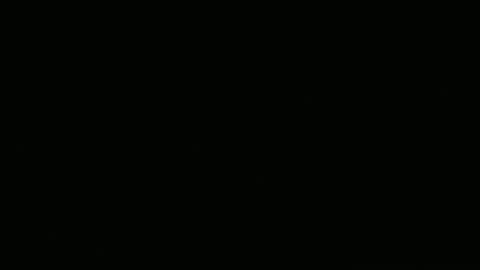 Carolina online show from 04.30.26