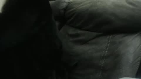 casidy1 online show from 01.23.25