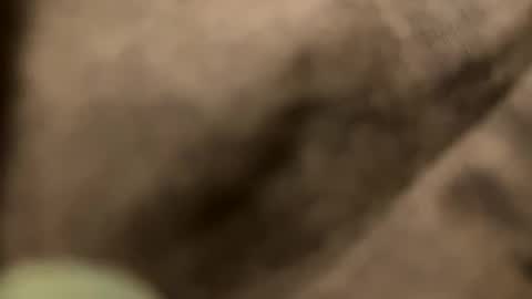 casidy1 online show from 02.02.25