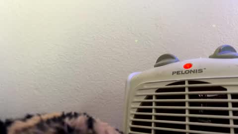 casidy1 online show from 02.28.25