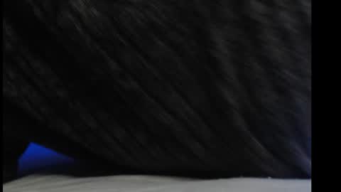 casidy1 online show from 03.06.25