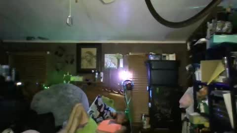 Snapshot of cassistiger69 chatting on 11.02.25 cassistiger69 online show from 11.02.25