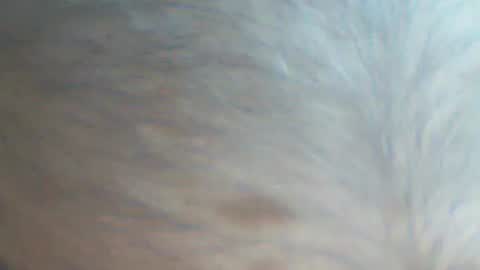 castells online show from 09.22.25