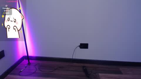 cat online show from 11.25.25