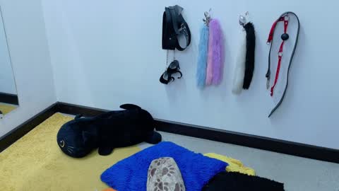 Cata online show from 01.21.25