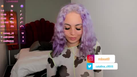 Catalina online show from 01.20.25