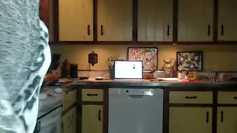 CATALYSTIC online show from 10.26.25