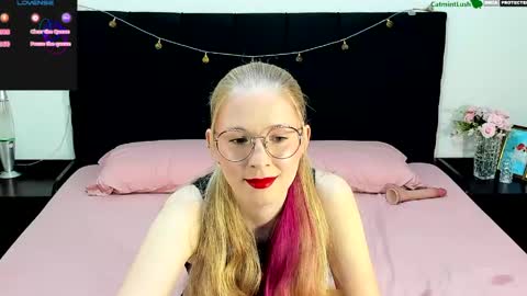 CatmintLush online show from 05.20.26