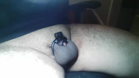 cbtandbb25 online show from 02.01.25