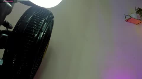 celene_rosejs online show from 04.06.26