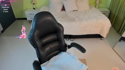 Snapshot of celeste_rous__ chatting on 02.14.26 Celeste online show from 02.14.26