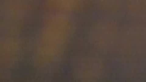 celestepink_jl online show from 11.10.25