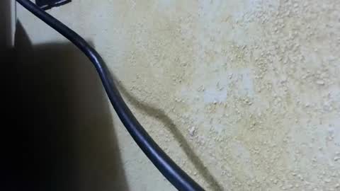 celhoduro23c online show from 11.28.25