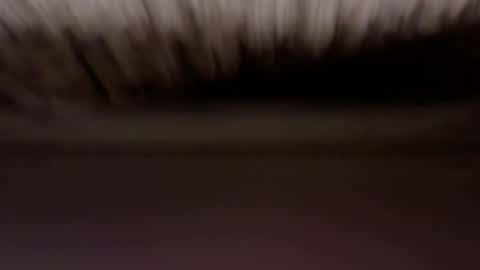 cenobitfor online show from 03.06.26