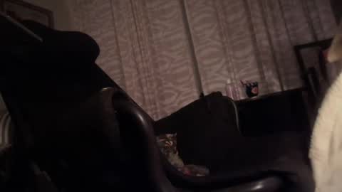 Snapshot of cfnmfriendly chatting on 10.23.25 cfnmfriendly online show from 10.23.25