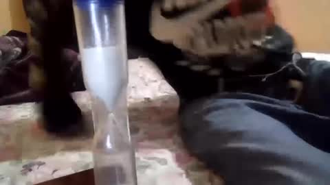 chanok33 online show from 02.27.25