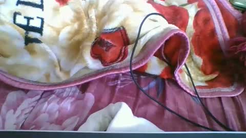 chantale483461 online show from 05.10.26