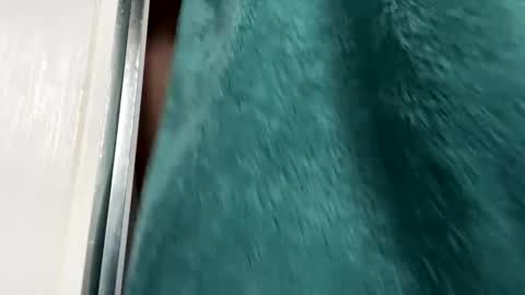 Snapshot of charlieg123 chatting on 11.29.25 Gary online show from 11.29.25