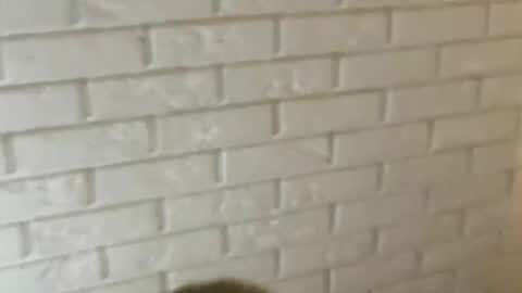 charlottebunnyuwu online show from 02.12.25