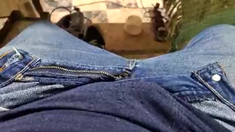 Parcero online show from 09.14.25