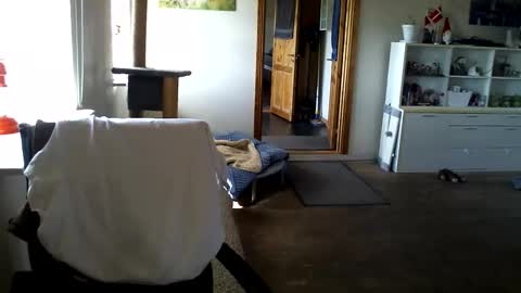 chefben666 online show from 04.11.26