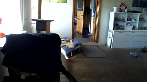 chefben666 online show from 04.12.26