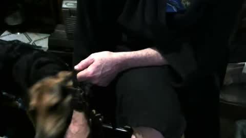 chefy online show from 12.03.25