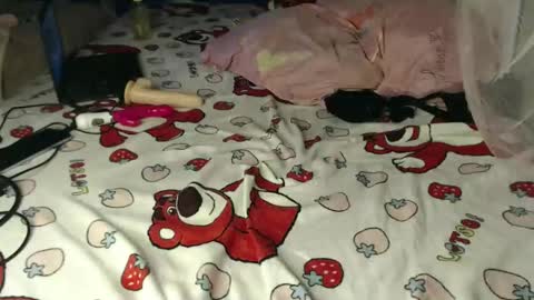 Cherry online show from 04.17.26