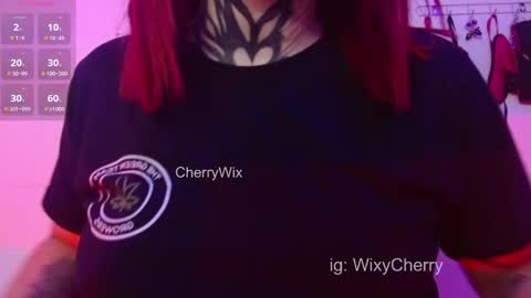 Snapshot of cherrywix chatting on 02.13.25 cherrywix online show from 02.13.25