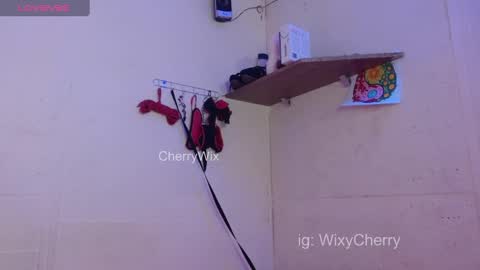 Snapshot of cherrywix chatting on 02.20.25 cherrywix online show from 02.20.25