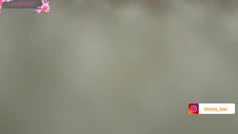 Snapshot of chiaretta99 chatting on 12.12.24 Chiara Lovense is active Pvt open online show from 12.12.24