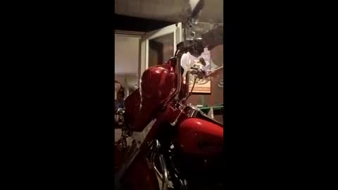 CheifLongDong151 online show from 04.19.26